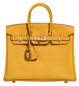 Product photo of Hermes PRE-OWNED Birkin 25 Jaune Ambre Togo GHW Woman Accessories