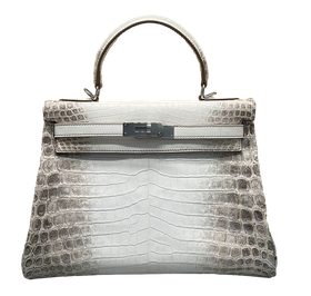Product photo of Hermes PRE-OWNED Kelly 25 Himalaya Crocodile SHW Woman Accessories